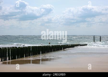 Vlissingen, Zélande, pays-Bas - plage de sable avec brise-lames en bois, ville portuaire sur la côte sud de la péninsule de Walcheren dans la province néerlandaise Banque D'Images