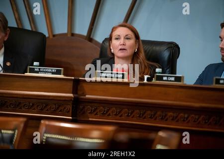 Comité de la Chambre des communes sur les ressources naturelles | sous-comité de la surveillance et des enquêtes classement membre des États-Unis Melanie Stansbury (démocrate du Nouveau-Mexique) questions le directeur adjoint du Service des parcs nationaux Mike Reynolds comparaît devant un comité de la Chambre des communes sur les ressources naturelles | audience du sous-comité de la surveillance et des enquêtes intitulée «examiner les obstacles à l'accès : Problèmes continus liés à l'expérience des visiteurs dans les parcs nationaux des Amériques dans l'édifice Longworth House à Washington, DC, le jeudi 27 juillet 2023. Crédit : Rod Lamkey/CNP/Sipa USA Banque D'Images