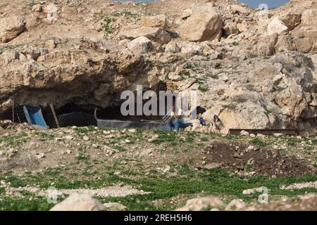 Bédouins vivant dans des grottes naturelles, Cisjordanie, Palestine Banque D'Images