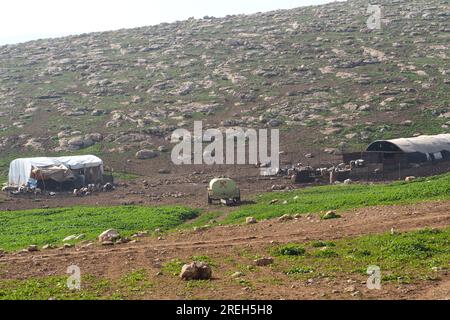 Bédouins vivant dans des grottes naturelles, Cisjordanie, Palestine Banque D'Images