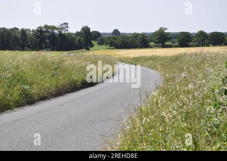 Route de campagne au sud-est de Felbrigg, nord Norfolk, Angleterre, Royaume-Uni Banque D'Images