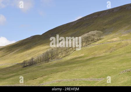 En regardant vers le nord sur l'A684, un demi-mile à l'ouest du virage à Cotterdale, au nord-ouest de Hawes, Yorkshire Dales, Angleterre, Royaume-Uni Banque D'Images