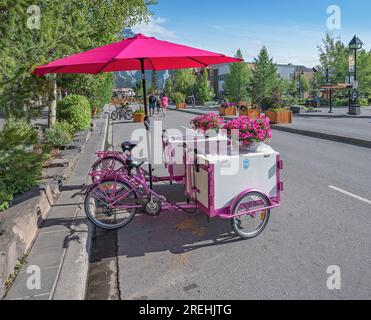 Banff, Alberta, Canada – 27 juillet 2023 : chariots de crème glacée garés sur l’avenue Banff au centre-ville Banque D'Images