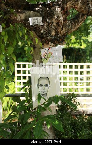 Londres, Royaume-Uni. 28 juillet 2023. Les fans rendent hommage à la chanteuse primée Sinead O'Connor au London Irish Center à Camden, au nord de Londres, y compris une carte qui l'a saluée comme une «princesse guerrière». La légende irlandaise Sinéad O'Connor est décédée le mercredi 26 juillet 2023 à l'âge de 56 ans après avoir été trouvée "insensible" à une adresse résidentielle dans le quartier SE24 de Londres. Crédit : Waldemar Sikora/Alamy Live News Banque D'Images