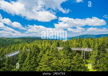 Sentier de randonnée de la canopée forestière au-dessus de la cime des arbres, aventure en plein air sur Rogla, Slovénie Banque D'Images