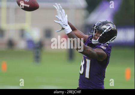 Baltimore Ravens wide receiver Dontay Demus Jr. runs a route during the  first half of a preseason NFL football game, Saturday, Aug. 12, 2023, in  Baltimore. (AP Photo/Julio Cortez Stock Photo - Alamy