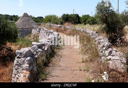 Locorotondo, Italie. 10 juillet 2023. Un vieux trullo le long d'un chemin de campagne entre les murs traditionnels en pierre sèche près de Locorotondo, district des Pouilles, Italie, le 10 2023 juillet. Selon un article récent du Guardian, Valle d'Itria, une vaste vallée agricole près de Bari pleine de vignobles et d'oliviers, est l'un des meilleurs «lieux secrets» décalés pour séjourner en Italie. (Photo Elisa Gestri/Sipa USA) crédit : SIPA USA/Alamy Live News Banque D'Images