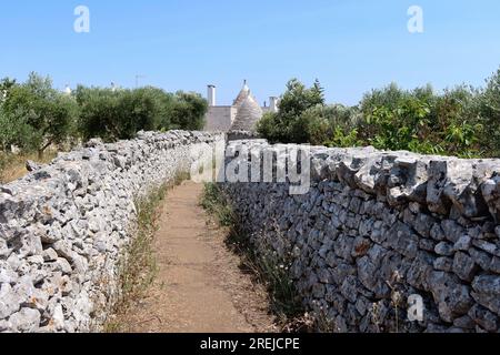 Locorotondo, Italie. 10 juillet 2023. Un groupe de trulli le long d'un chemin de campagne entre les murs traditionnels en pierre sèche, Locorotondo, district des Pouilles, Italie, le 10 2023 juillet. Selon un article récent du Guardian, Valle d'Itria, une vaste vallée agricole près de Bari pleine de vignobles et d'oliviers, est l'un des meilleurs «lieux secrets» décalés pour séjourner en Italie. (Photo Elisa Gestri/Sipa USA) crédit : SIPA USA/Alamy Live News Banque D'Images