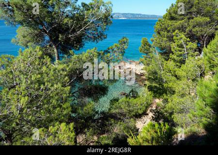 Vue sur la mer Adriatique et la plage près de bol sur l'île de Brac en Croatie. Touristes profitant des voyages d'été en Europe Banque D'Images