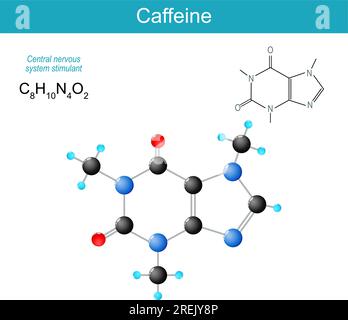 molécule de caféine. Formule structurale chimique moléculaire et modèle de stimulant du SNC du système nerveux central de la classe des méthylxanthines. Vecteur Illustration de Vecteur