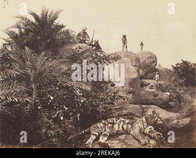 The Tiger Hunt : ensaché vers 1872 par Willoughby Wallace Hooper Banque D'Images