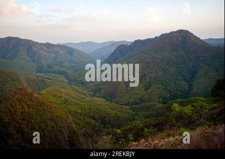 Jungle dense sur Nandhour Kumaon Hills, vallée, Uttarakhand, Inde Banque D'Images