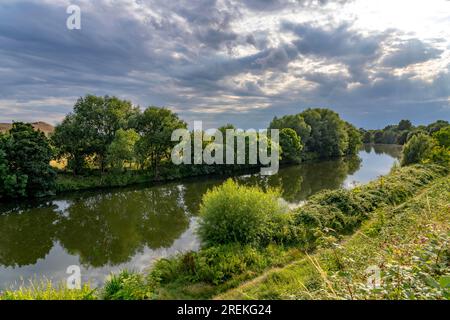 Le Styrumer Ruhrbogen, réserve naturelle le long de la Ruhr, aux limites de la ville d'Oberhausen, Mülheim, Duisburg, NRW, Allemagne Banque D'Images