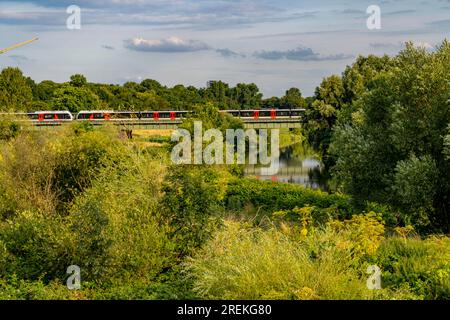 Le Styrumer Ruhrbogen, réserve naturelle le long de la Ruhr, aux limites de la ville d'Oberhausen, Mülheim, Duisburg, pont ferroviaire, train régional, NRW, Germa Banque D'Images