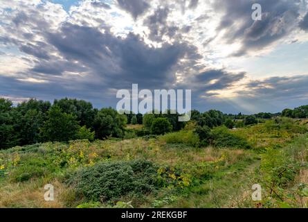 Le Styrumer Ruhrbogen, réserve naturelle le long de la Ruhr, aux limites de la ville d'Oberhausen, Mülheim, Duisburg, NRW, Allemagne Banque D'Images