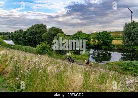 Le Styrumer Ruhrbogen, réserve naturelle le long de la Ruhr, sur les limites de la ville d'Oberhausen, Mülheim, Duisburg, éolienne sur le site d'enfouissement, le SO- Banque D'Images