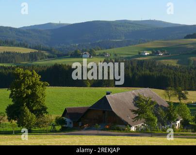 Fermes dans le paysage de la Forêt Noire, vue sur le Feldberg près de Breitnau, Fribourg. Forêt Noire. Baden. - Wuertt. FRG Banque D'Images