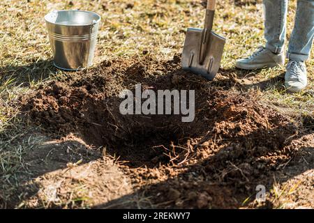 Homme creusant un trou avec un arbre de plante de pelle Banque D'Images