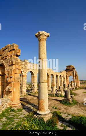 Ruines de la basilique, Volubilis, ancienne ville romaine, Maroc Banque D'Images