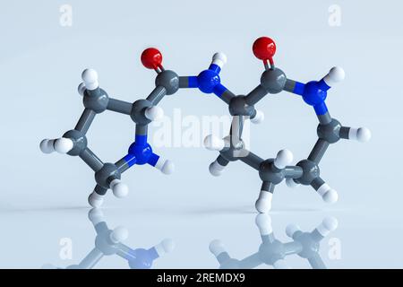 Illustration d'une molécule d'ozopromide (N-(2-ozazepan-3-yl) pyrrolidine-2-carboxamide). Ce composé se trouve dans le sac d'encre de la pieuvre commune (Octopus vulgaris). Des études in vitro ont montré qu'il est capable de tuer sélectivement les cellules cancéreuses. Banque D'Images