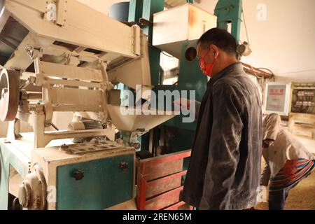 Chine. 29 juillet 2023. Boane, Mozambique. 25 juillet 2023. Le technicien chinois Zhang Haobo transforme le riz au Centre de démonstration de technologie agricole Chine-Mozambique dans le district de Boane dans la province de Maputo, Mozambique, le 25 juillet 2023. Construit en 2010, le centre de démonstration est un important projet de coopération entre les gouvernements chinois et mozambicain. En plus de faire des expériences agricoles, le centre est également impliqué dans la formation des agriculteurs locaux. Crédit : Dong Jianghui/Xinhua/Alamy Live News crédit : Xinhua/Alamy Live News Banque D'Images