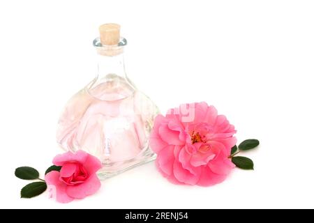 Eau de rose avec des fleurs roses roses sur fond blanc. Soin naturel alternatif pour hydrater la peau, traite les rougeurs cutanées, les irritations, les cicatrices, les brûlures. Banque D'Images