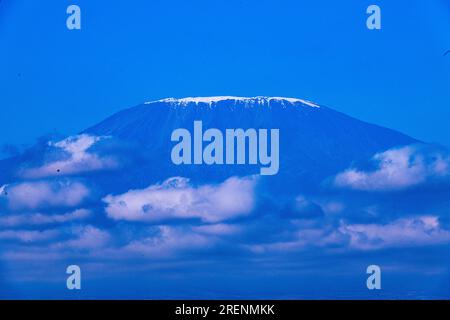 Kenya paysages voyages Safaris faune animaux Mont Kilimandjaro Kimana Loitokitok Emali route girafes Afrique de l'est nature Amboseli National Banque D'Images