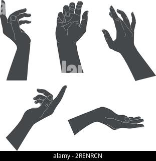 Ensemble de mains humaines avec différents gestes gracieux. Silhouettes de main isolées sur fond blanc. Illustration vectorielle Illustration de Vecteur