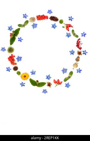 Couronne de Thanksgiving automne automne automne avec des fleurs, des noix, des têtes de graines de fruits de baies et des pommes de pin. Design sur fond blanc. Banque D'Images