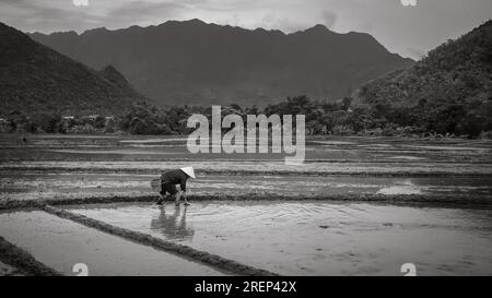 Un fermier de minorité ethnique thaïlandais blanc travaille à préparer un paddy de riz pour la plantation à Mai Chau, dans les hauts plateaux du nord du Vietnam. Banque D'Images