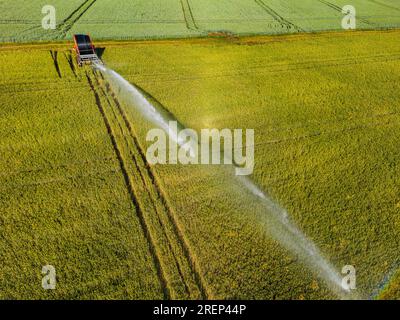 Vue aérienne de l'irrigation par arroseur avec jet d'eau soufflé par le vent Banque D'Images