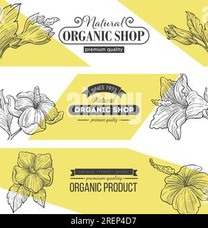Boutique biologique naturelle avec vecteur de qualité supérieure Illustration de Vecteur