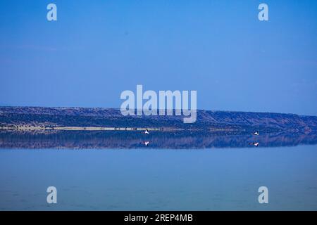 Lac Magadi au Kenya le lac Magadi est le lac le plus méridional de la vallée du Rift au Kenya, situé dans un bassin versant de roches volcaniques faillies, au nord de Tan Banque D'Images