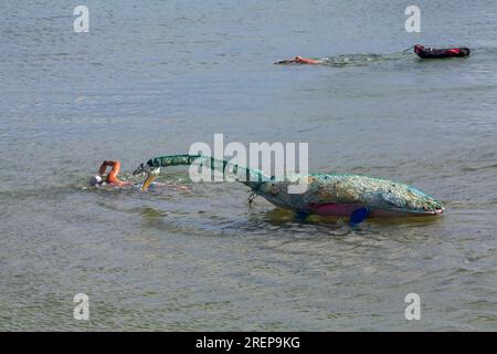 Swanage, Dorset, Royaume-Uni. 29 juillet 2023. Percy Seonster le dinosaure plésiosaure modèle fabriqué à partir de 600 bouteilles en plastique pesant 60-65kg créé par Glenn Martin sculptures est remorqué le long de la baie de Swanage par le nageur Oly Rush et d'autres nageurs. Une natation d'entraînement de 12 heures pour Oly, une partie de son programme d'entraînement intense pour sa tentative de record du monde, 24-30h de natation autour de la magnifique île d'Ithaca, Grèce en septembre. Visant à sensibiliser aux effets dévastateurs de la pollution plastique, ainsi que des fonds pour le projet planète Terre et mers saines. Crédit : Carolyn Jenkins/Alamy Live News Banque D'Images