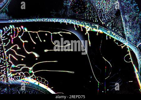 Fissures de fond de texture sur l'écran cassé d'un écran à cristaux liquides, d'un moniteur d'ordinateur ou d'un téléviseur Banque D'Images