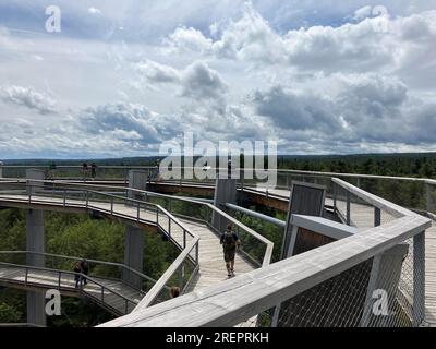 Bad Wildbad, Allemagne. 29 juillet 2023. Le sentier de la cime des arbres avec son toboggan sur le Sommerberg à Bad Wildbad. L'attraction touristique populaire dans le nord de la Forêt-Noire est de 1250 mètres de long et se termine dans la tour à une hauteur de 40 mètres. Crédit : Marco Krefting/dpa/Alamy Live News Banque D'Images