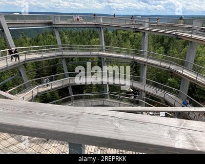 Bad Wildbad, Allemagne. 29 juillet 2023. Le sentier de la cime des arbres avec son toboggan sur le Sommerberg à Bad Wildbad. L'attraction touristique populaire dans le nord de la Forêt-Noire est de 1250 mètres de long et se termine dans la tour à une hauteur de 40 mètres. Crédit : Marco Krefting/dpa/Alamy Live News Banque D'Images