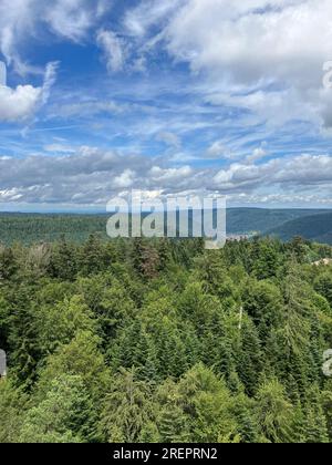 Bad Wildbad, Allemagne. 29 juillet 2023. Vue sur la cime des arbres du Sommerberg à Bad Wildbad. Calmbach, un quartier de Bad Wildbad, est visible en arrière-plan. Crédit : Marco Krefting/dpa/Alamy Live News Banque D'Images