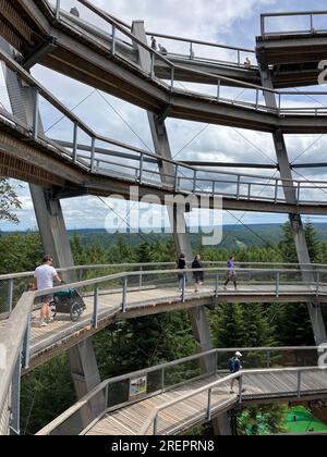 Bad Wildbad, Allemagne. 29 juillet 2023. Le sentier de la cime des arbres avec son toboggan sur le Sommerberg à Bad Wildbad. L'attraction touristique populaire dans le nord de la Forêt-Noire est de 1250 mètres de long et se termine dans la tour à une hauteur de 40 mètres. Crédit : Marco Krefting/dpa/Alamy Live News Banque D'Images