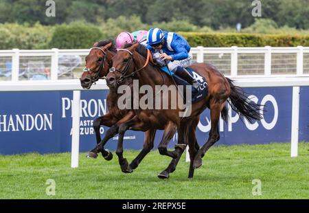 Ascot, Londres, Royaume-Uni. 29 juillet 2023. Hukum et le jockey Jim Crowley remportent les King George VI et Queen Elizabeth QIPCO Stakes 2023 pour l'entraîneur Owen Burrows et le propriétaire Shadwell Estate Company Limited, à l'hippodrome d'Ascot, Berkshire, Royaume-Uni. Crédit : JTW Equine Images/Alamy Live News Banque D'Images
