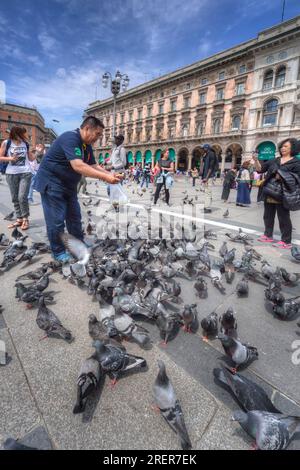 Milan, Italie - 20 mai 2017 : touristes nourrissant des pigeons à Milan, Italie. Banque D'Images