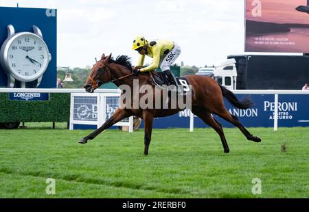 Ascot Racecourse, Berkshire, Royaume-Uni. 29 juillet 2023. Rosallion et Sean Levey remportent les Flexjet Pat Eddery Stakes listés pour l'entraîneur Richard Hannon et le propriétaire Sheikh Mohammed Obaid Al Maktoum Credit : JTW Equine Images/Alamy Live News Banque D'Images