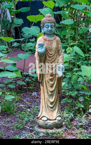 Statue orientale de Bouddha debout ajoute le calme à un joli jardin Banque D'Images
