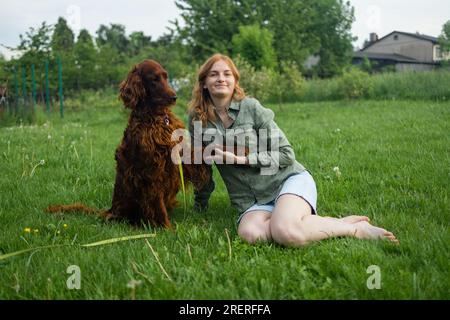 Red Irish Setter processus de formation en extérieur. Belle blonde souriante bonne jeune femme en short denim sont assis au verre et l'entraînement d'un mignon samoyed Banque D'Images