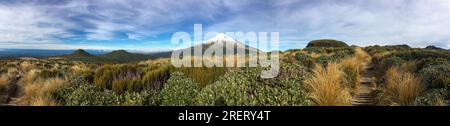 Vue du Mont Taranaki dans le parc national d'Egmont depuis le plateau de Pouakai, Île du Nord, Nouvelle-Zélande Banque D'Images