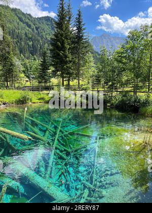 Eaux cristallines avec des grumes submergées du lac Meerauge entouré d'arbres verts dans la vallée de Boden dans la chaîne de montagnes Karawank en Autriche Banque D'Images