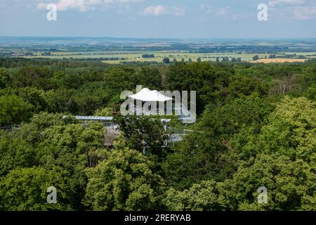 Vue sur la passerelle de la canopée dans le parc national de Hainich en Allemagne vers les plaines et les champs en arrière-plan Banque D'Images