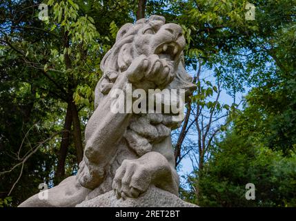 Lion féroce sur une chaude journée d'été, champ de bataille national d'Antietam, Maryland États-Unis Banque D'Images