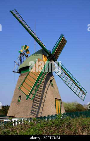 Moulin à vent allemand, Nebel, île d'Amrum, Frise du Nord, Schleswig-Holstein, Allemagne Banque D'Images