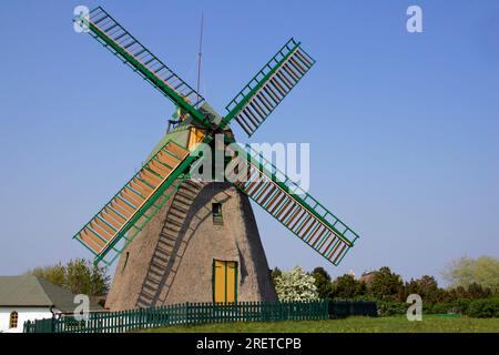 Moulin à vent allemand, Nebel, île d'Amrum, Frise du Nord, Schleswig-Holstein, Allemagne Banque D'Images